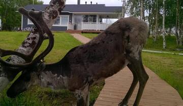Фото номера Дом с 2 спальнями Дома для отпуска Nellim Holiday Home г. Неллимо 37